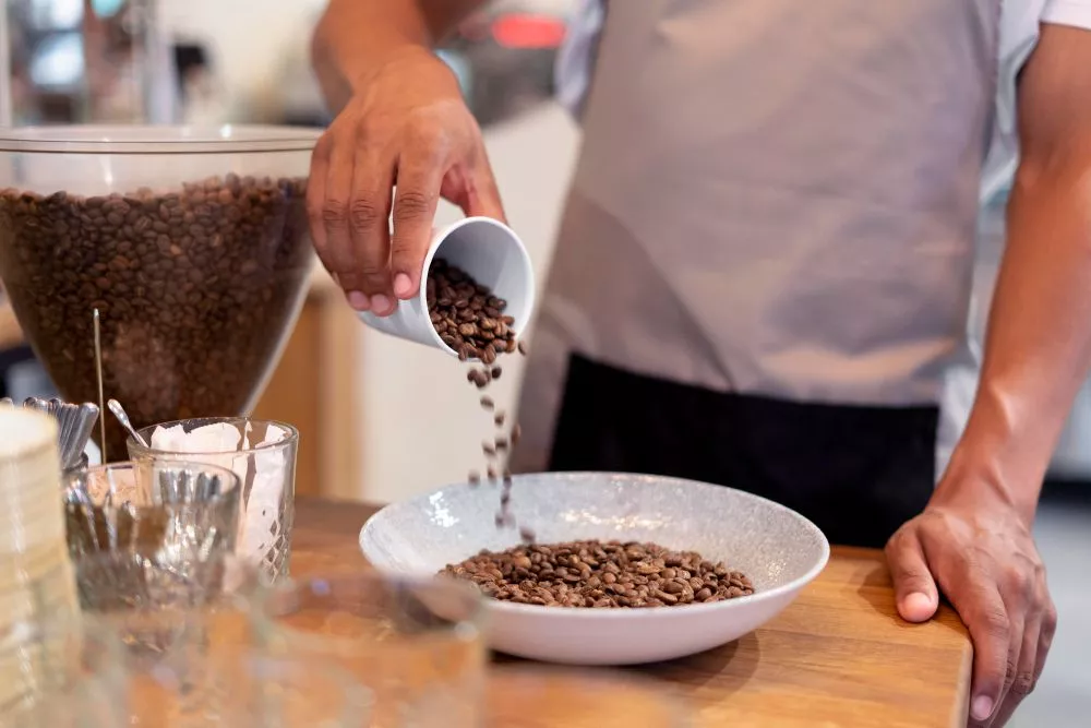 barista menuangkan biji kopi yang telah diroasting atau dipanggang